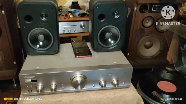 JBL CONTROL 1 PRO