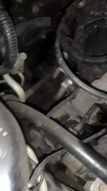 VID-20250520-WA0010.mp4