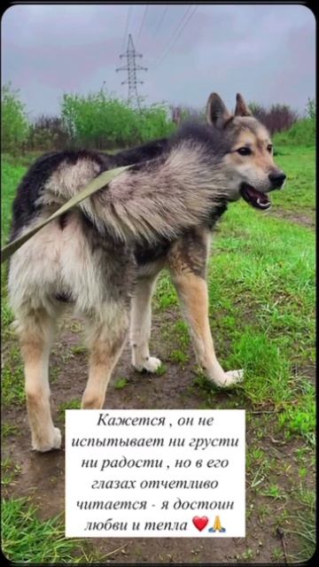 Выбросили из машины на полном ходу. 🆘 ПОСТ-ШАНС! 🆘
