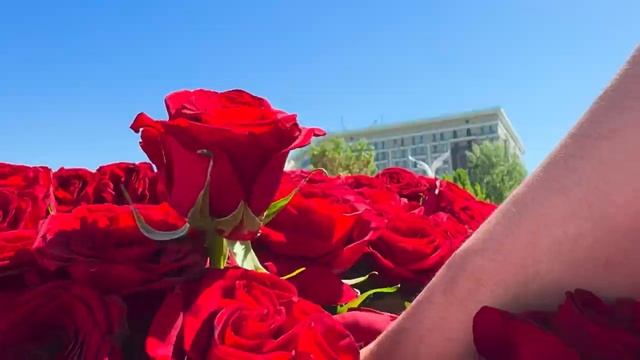 7 Romantic