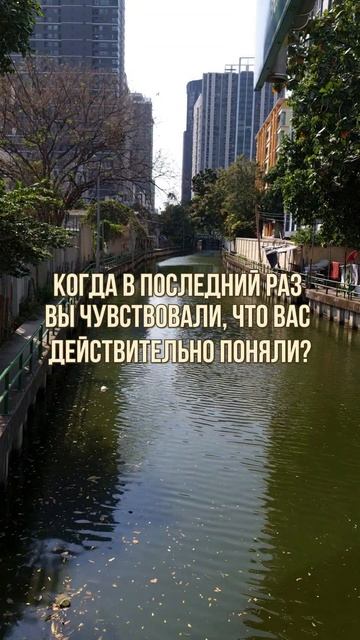 ЧТО ЗНАЧИТ: ПОНЯТЬ ЧЕЛОВЕКА?

#правилажизни
#поверьвсебя 
#психологиядостижений 
#Замалевский
