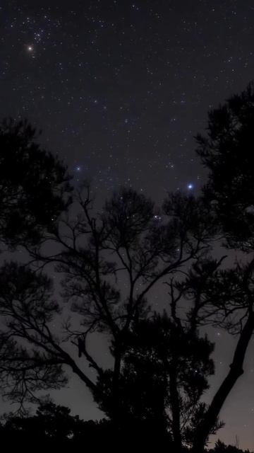 darkness