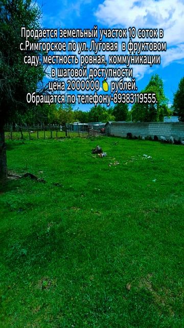 Продается земельный участок 10 соток в с.Римгорское по ул. Луговая  в фруктовом саду.