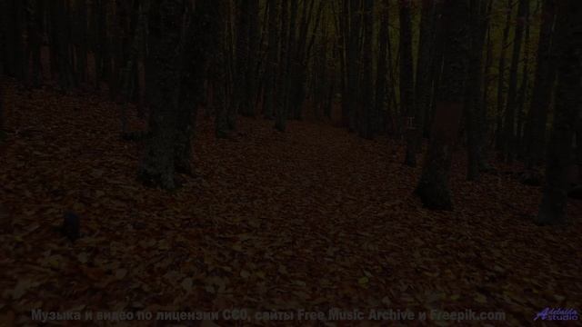 Закройте глаза. Откройте. Вы в раю. А теперь включите звук! - Empires -- Scott Holmes Music -- Music