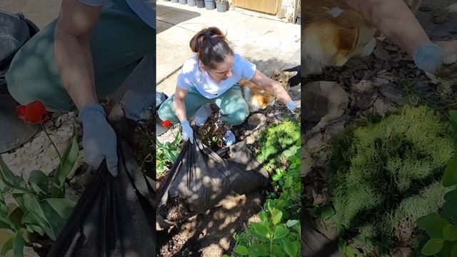 Что произошло с землёй спустя 5 лет применения спанбонда?