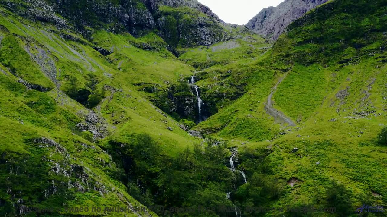 Зелень и облака танцуют вместе с этим невероятным звуком - false start -- los pilotos -- starfish