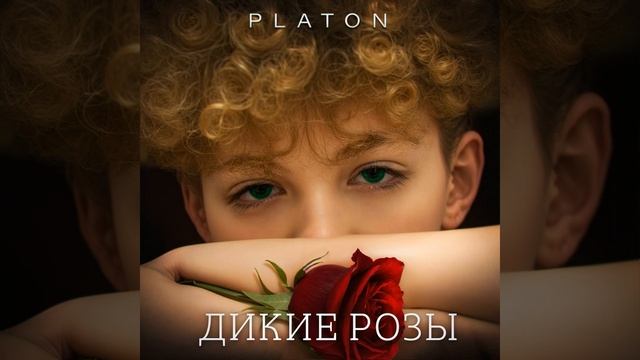 ДИКИЕ РОЗЫ