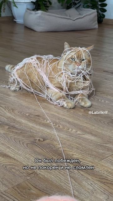 Game over- получается? 😂