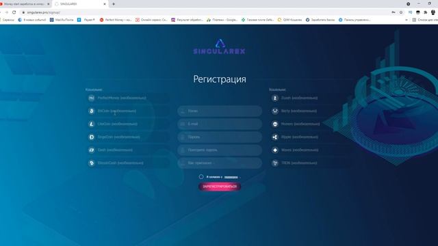 Singularex.pro  Инвестиционный проект с хорошим маркетингов?