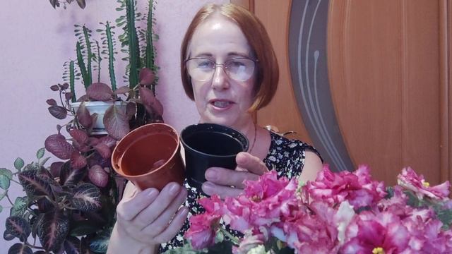Проблема с листьями у фиалки. В чём причина?!