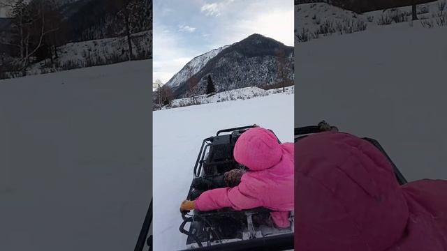 за дровами на мотособаке