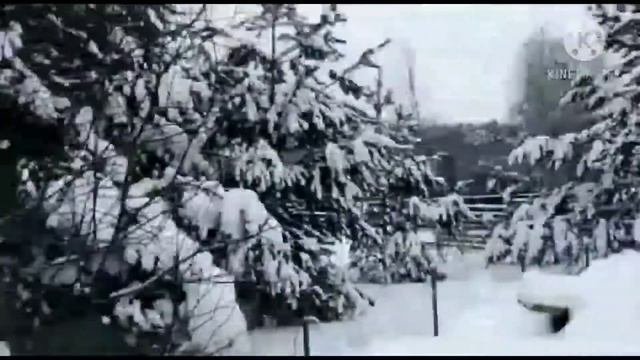 Очень красывый снег и чистый воздух ох.