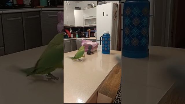 1000181444.mp4