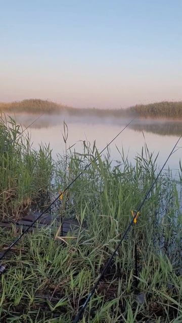 #fishing #рыбалка  и опять новое место. Клубничная луна и к?