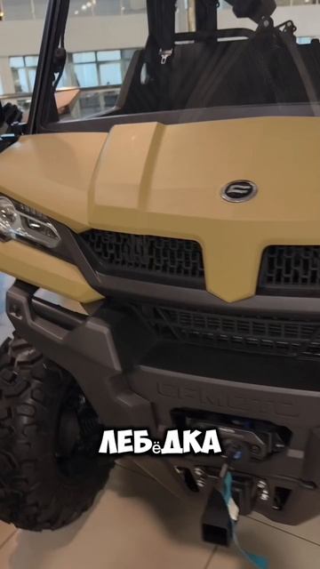 scene_output.mp4