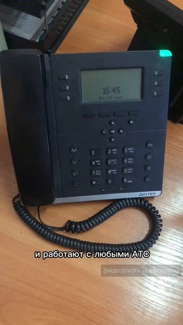 IP телефон VP-15 Eltex. Видео[Охота] на eltexcm.ru