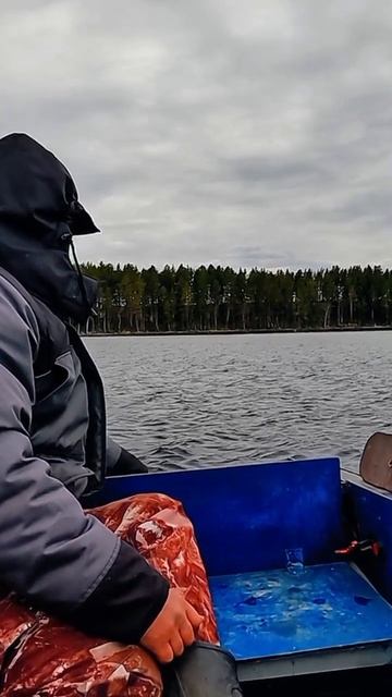 как запускается нормальный лодочный мотор