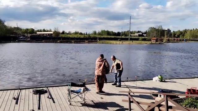 video_2025-05-20_17-37-58