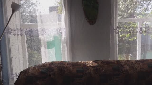 У нас свои законы. Он сам решит.