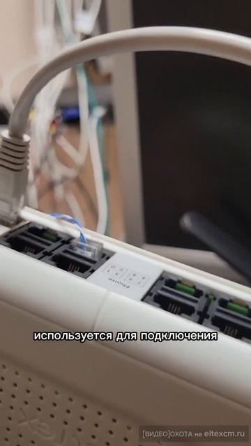 Абонентские шлюзы TAU-8N.IP Eltex. Видео[Охота] на eltexcm.ru
