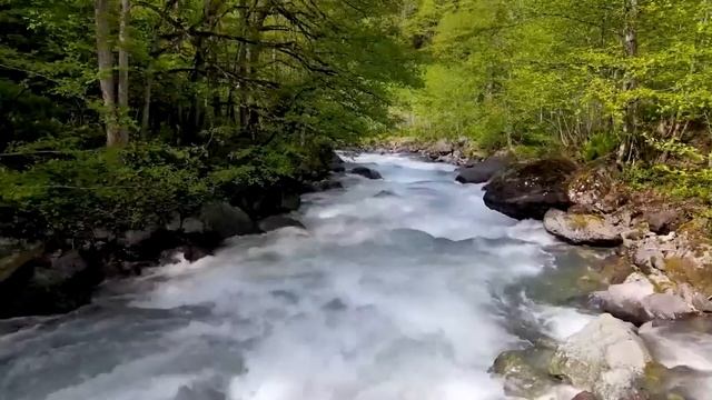 лучшие хиты всех времен