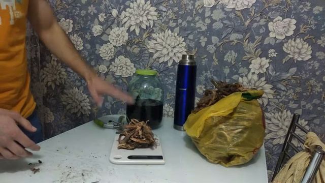 Красный Корень // Копеечник - Лекарственные Травы