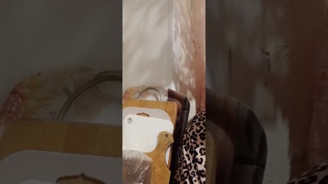 В 1 ЧАС НОЧИ  на кефир, и нюхать Сирень💖💖💖💖💖💖💖💖