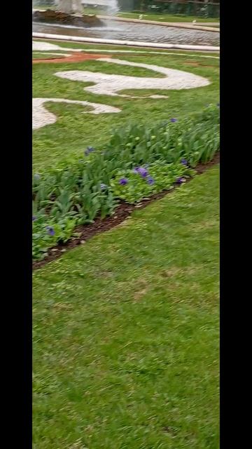 1000173325.mp4