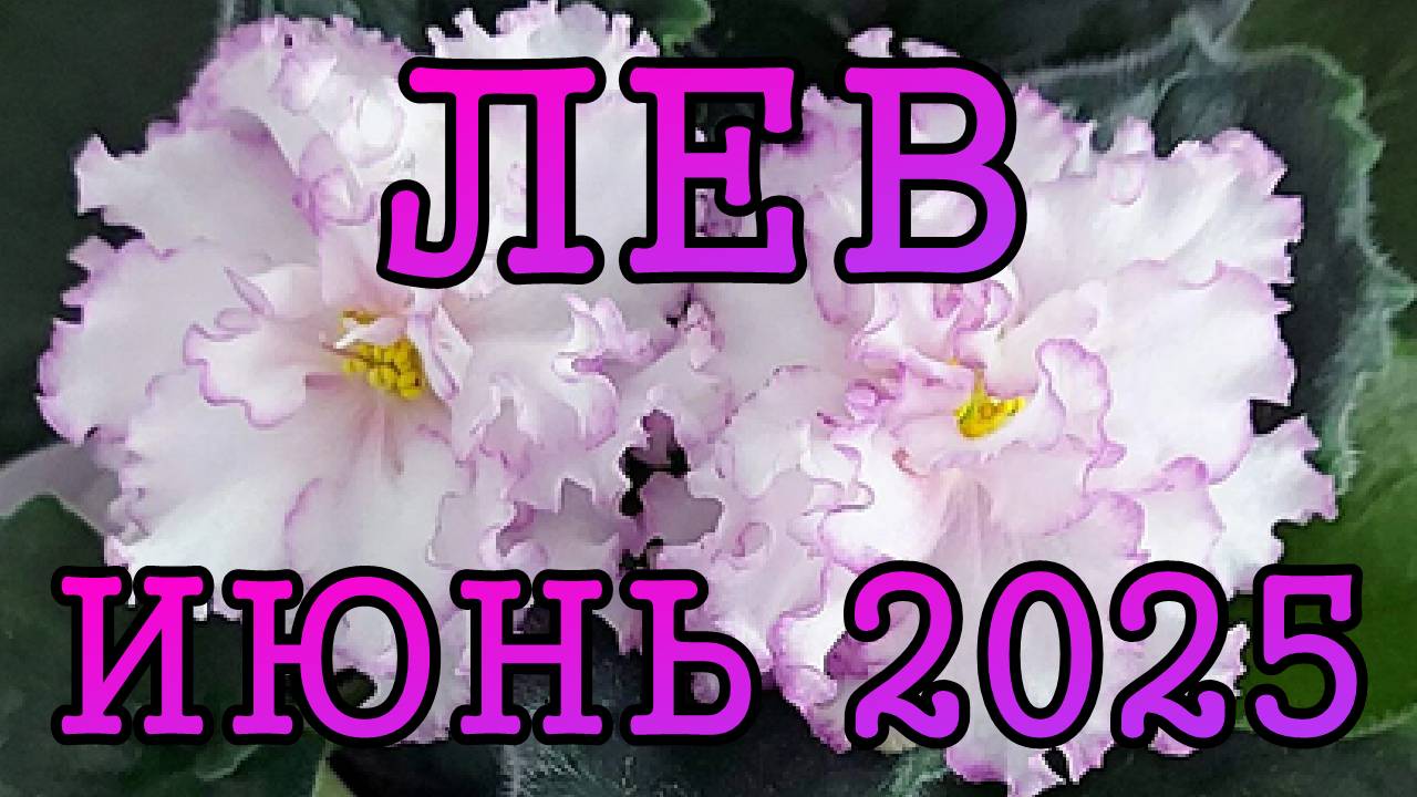 ЛЕВ таро прогноз на ИЮНЬ 2025 года.