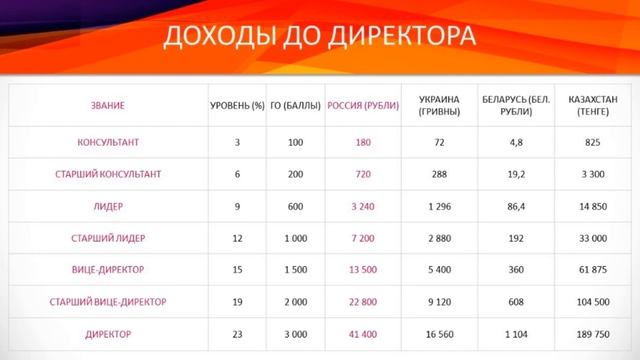 МАРКЕТИНГ ПЛАН ФАБЕРЛИК 2019