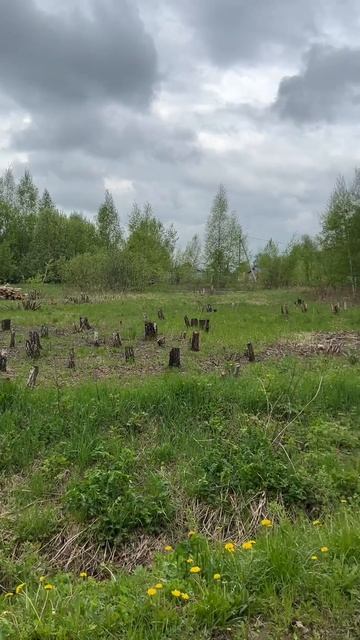 Продается земельный участок 10 соток в ДПК "Вески", рядом с деревней Вески.