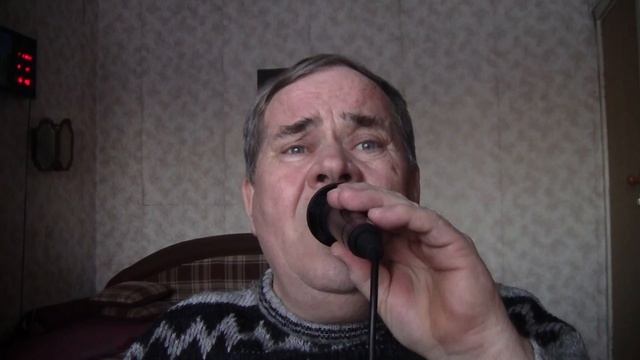 00921  Пшеница золотая. Владимир Дыбин.