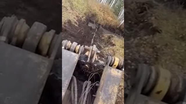 Вот так вот бывает.