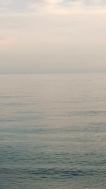Дельфины🐬 встречают закат🌅 в Сочи🌴