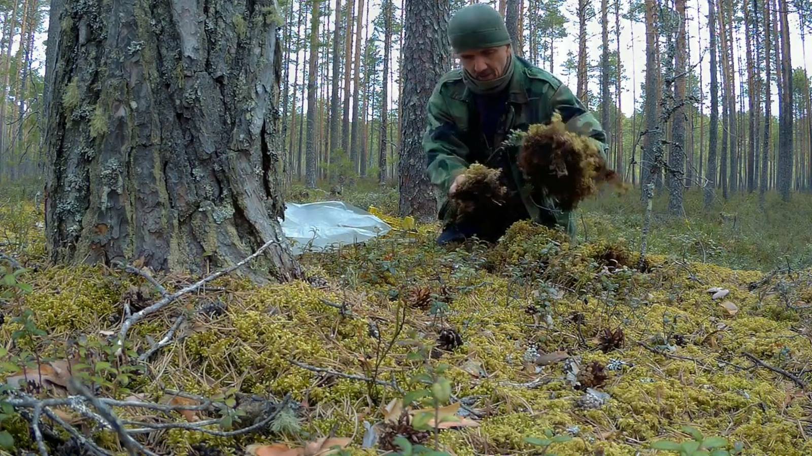 Заготовка