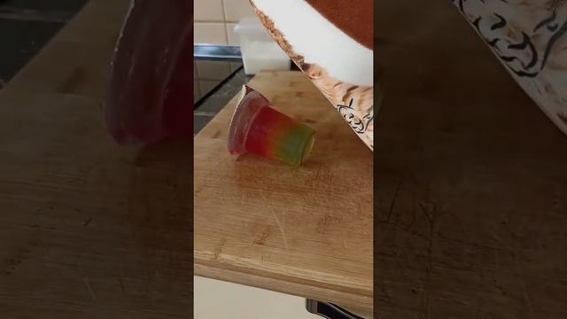 Василий опять мешает нашим съëмкам!Говорящая Подушка