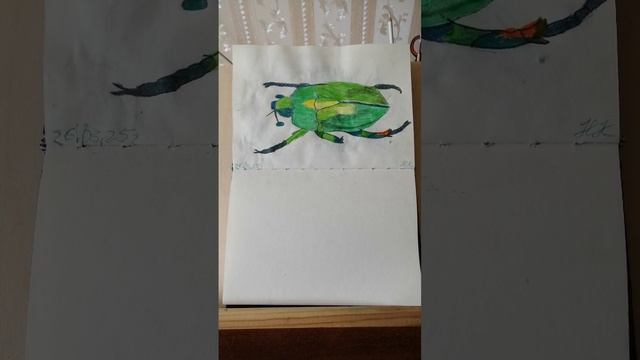 СКАРАБЕЙ. Цветные карандаши, формат А5.