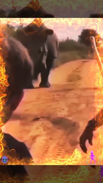 🦏🆚🧎/PovaRMX