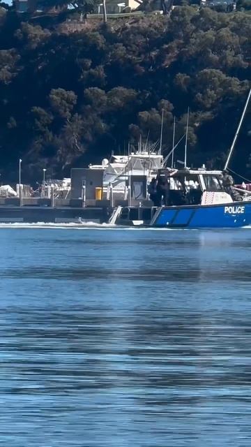 Пьяный водитель в США вылетел в воду прямо на глазах речной полиции