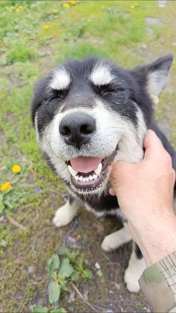 милашка