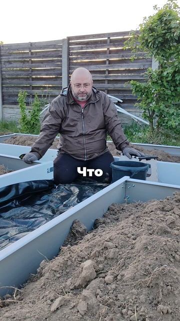 Грядки