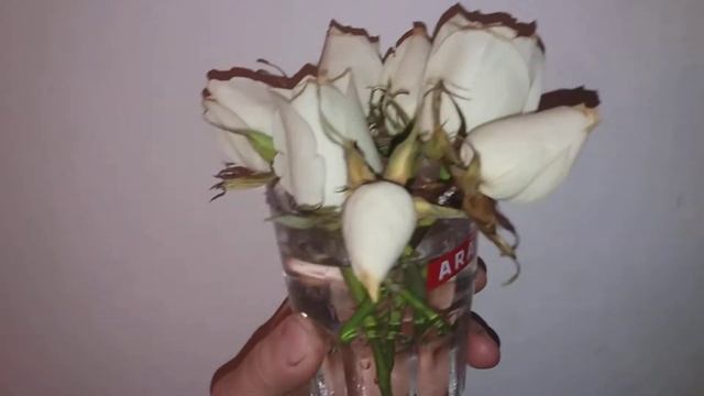 ШОК !!! - Хозяйкам на заметку - срезанные цветы стоят 21 д?