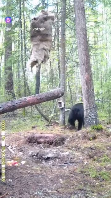 VID-20250519-WA0479