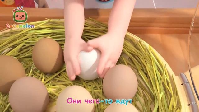 Сocomelon - Дождик, Дождик, Уходи!   Сборник 1 Час   CoComelon на русском — Детские песенки