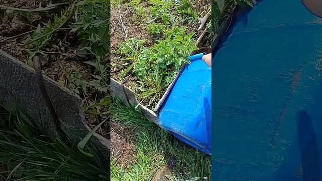 1000036822.mp4