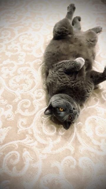 Тем временем……. Марс на релаксе 😼