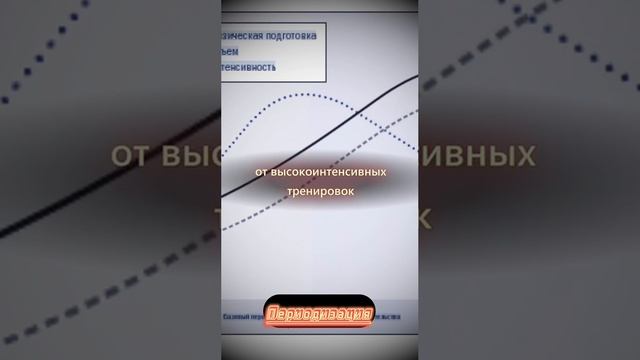Переодизация, что это и почему она так важна в тренировочном процессе!?