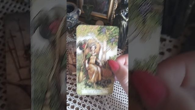 🍀 ПОСЛАНИЕ НА НЕДЕЛЮ 19.05 - 25.05.2025🍀