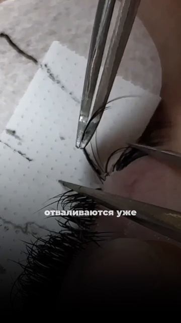 Как ставить пучок для долгой носки ресниц!