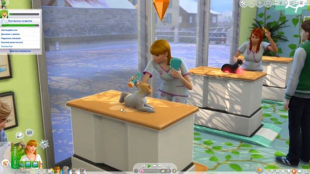 Фикус |The Sims 4| #55 Развиваем бизнес | Bloom Legacy Challenge